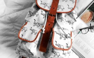 Tellus molestie nuncnon blandit elementum