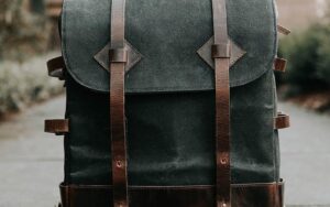 Scelerisque mauris pellentesque pulvinar