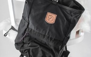 Vestibulum sedarcu nonodio euismod